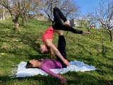 acro19