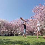 acro4